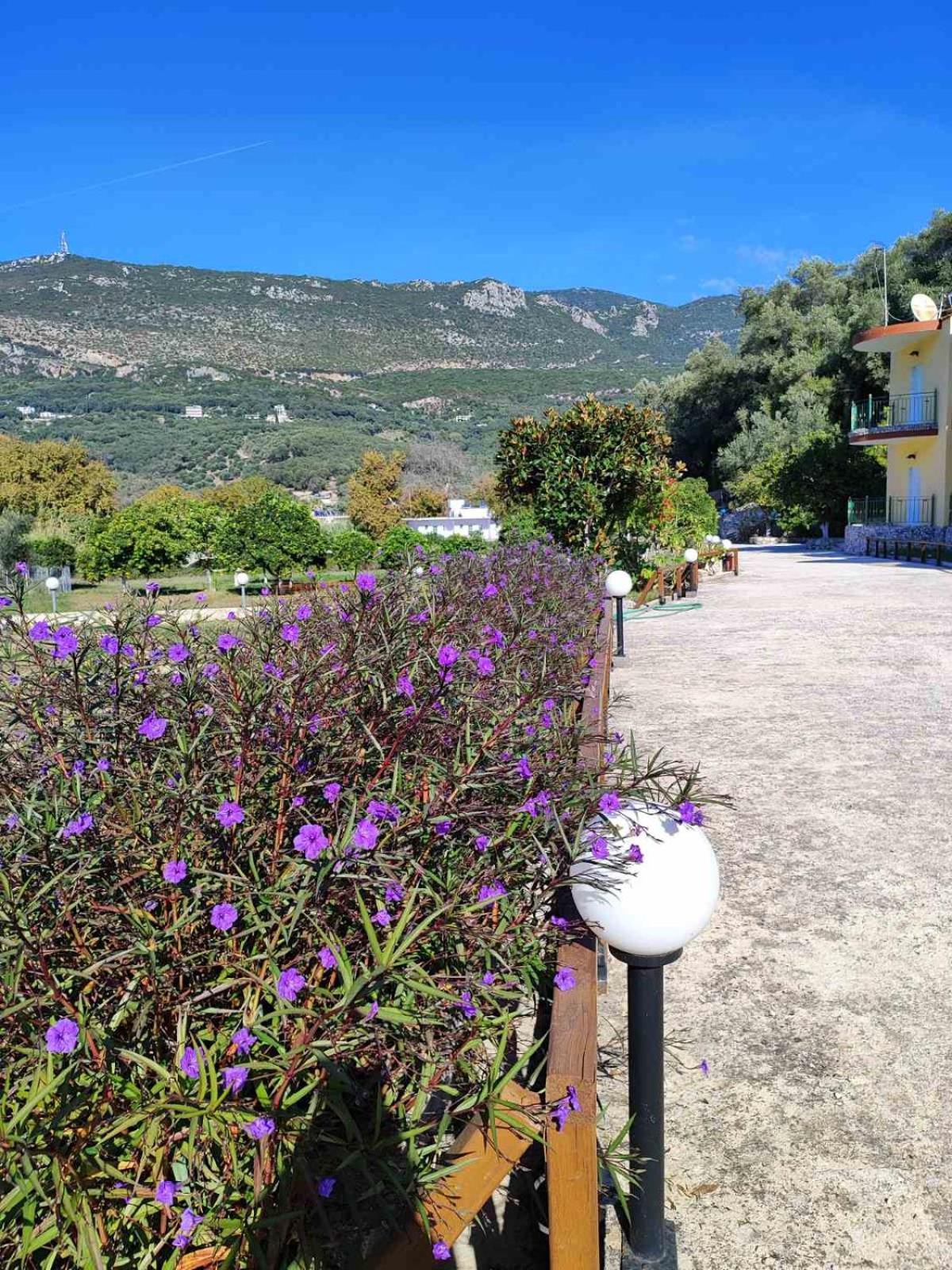 Villa Perkemes Apartments Parga Dış mekan fotoğraf